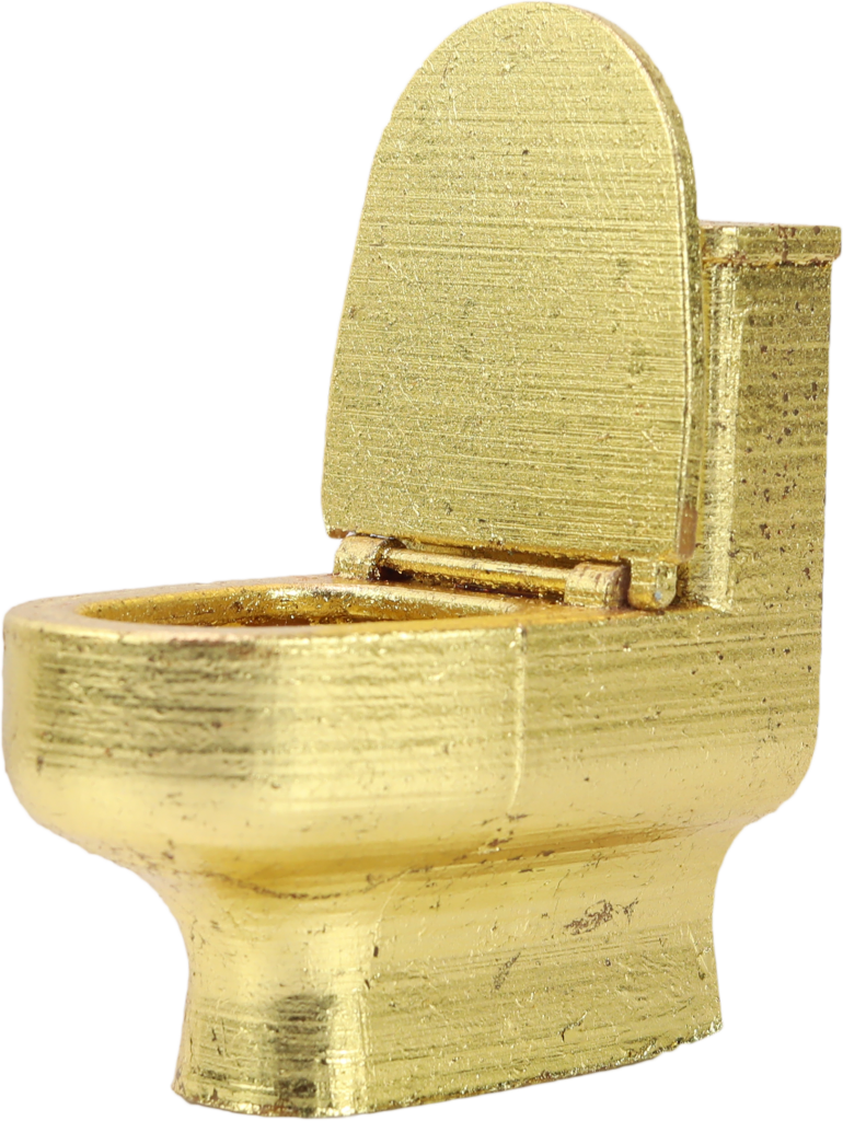 Xyzprinting的24k Gold PLA的厕所“ 3D印刷”。通过XYZPRINTING照片