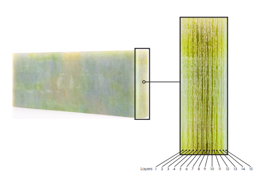 体素3D打印WaterLillis复制品的分层构造。通过约瑟夫·科丁顿拍摄。