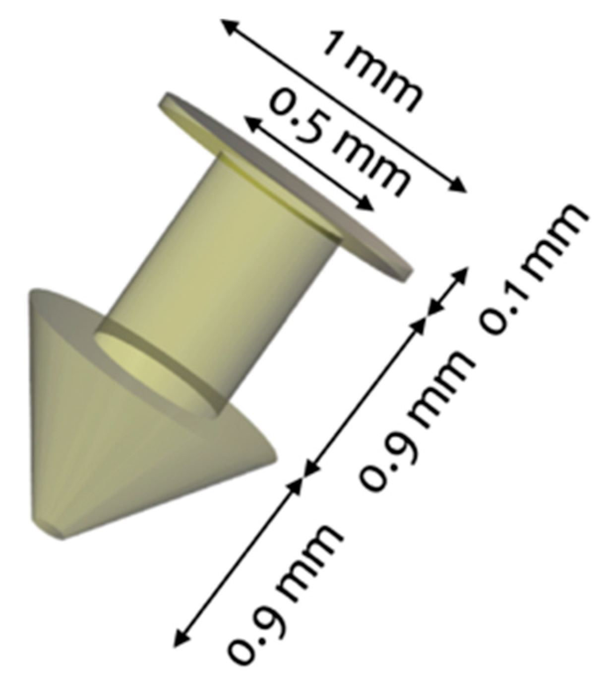 研究人员制作的点状栓的三维设计。通过MDPI形象。