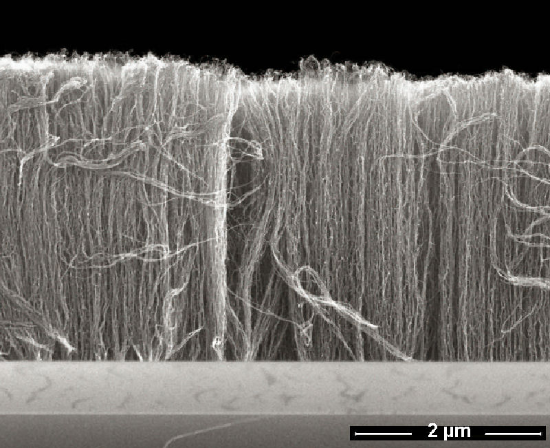 Nanotubes aligned. Image via Fraunhofer-Gesellschaft