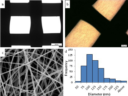 (a) shows the bare structure of 3D printed PCL. (b) shows an electrospun fiber on top of PCL. (c) the electrospun structure of PLGA. Figure via Natasha Maurmann et al.