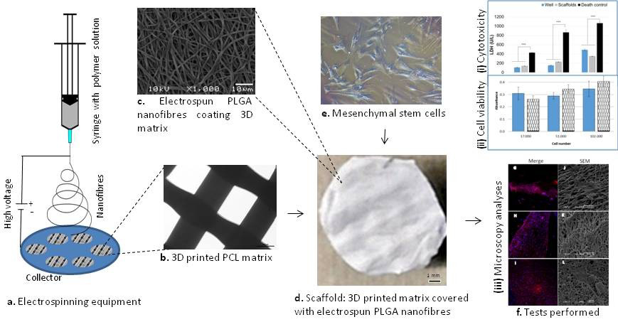 The process and results of combined 3D printing and electrospinning. Note: C & D - a 3D printed PCL/PLGA disc and its microscopic structure. Figure via Natasha Maurmann et al.