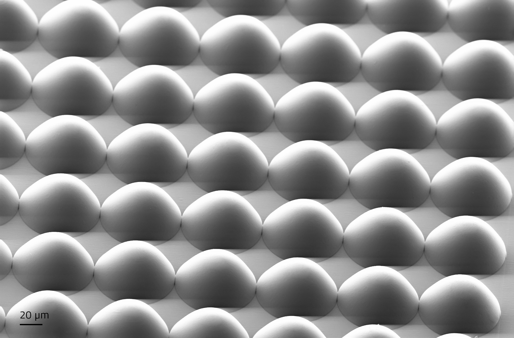 Microlens Array 3D的SME图像在Quantum X机器上打印。图片通过Nanoscribe。