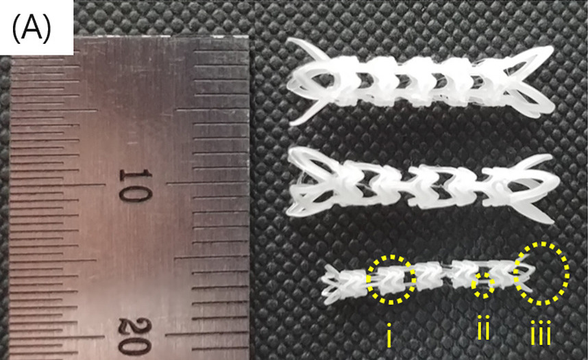 The POSTECH team's 3D printed stents (pictured) proved capable of reducing inflammation during in-vitro lab testing. Photo via the Biomaterials journal.