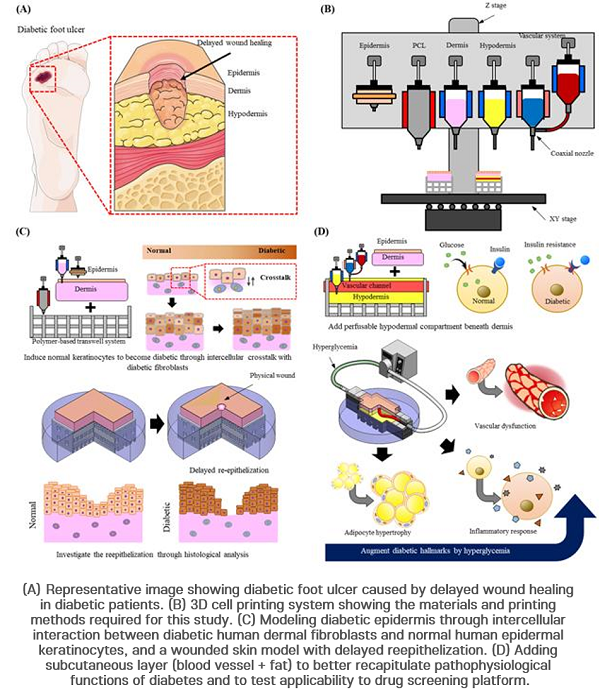 How 3D cell printing was used during the study to fabricate the artificial diseased skin model. Image via POSTECH.