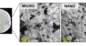源自卵巢组织的一小部分组织纸的代表性例子，突出了其独特的微孔和质地。图像通过Dimension INX。