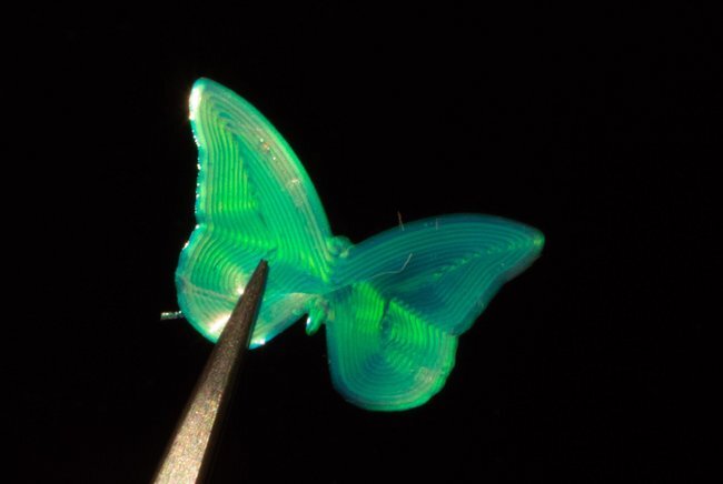 蝴蝶3D打印使用新的液晶墨水。图片来自埃因霍温理工大学。