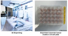 Ctibiotech的生物印刷平台开发出具有成本效益，稳健和可重复的结肠癌模型。通过ctibiotech图像。