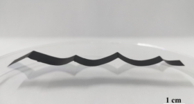 这3D printed graphene-oxide structure with a thickness of 20 μm. Image via ACS Nano.