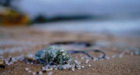 丢弃的塑料在海滩上被洗净。通过SörenFunk的图像，Unsplash。