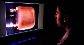 在实验室中拍摄的微型泵的侧视图图像。可以通过组织看到给心脏细胞结构的脚手架。通过杰基·里卡迪（Jackie Ricciardi）的照片。